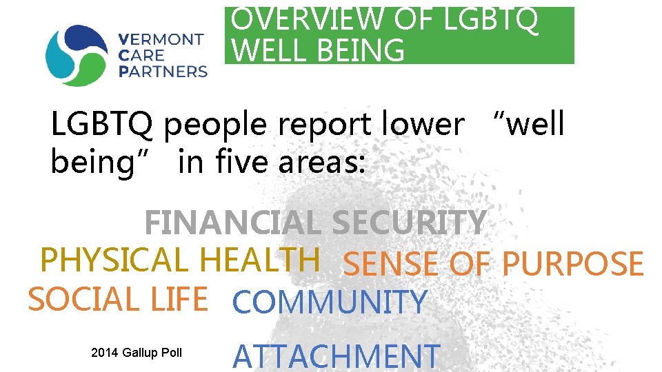 OVERVIEW OF LGBTQ WELL BEING LGBTQ people report lower “well being” in five areas: