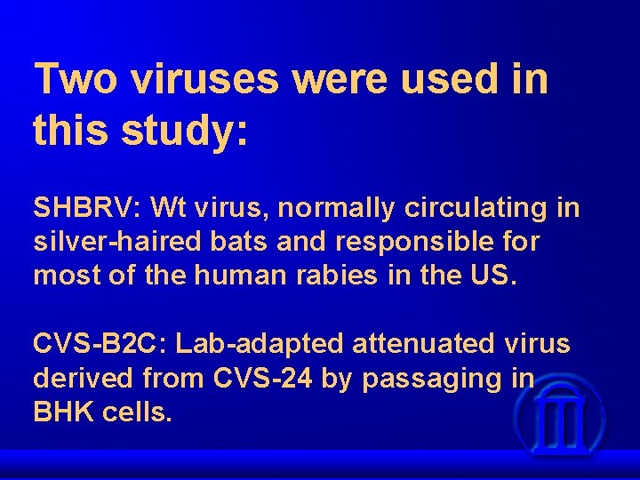 Two viruses were used in this study: SHBRV: Wt virus, normally circulating in silver-haired