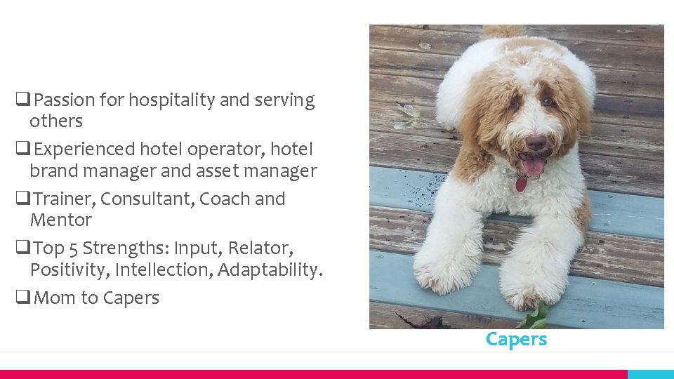 q. Passion for hospitality and serving others q. Experienced hotel operator, hotel brand manager