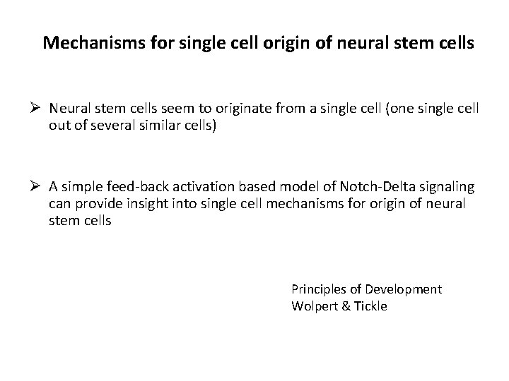Mechanisms for single cell origin of neural stem cells Ø Neural stem cells seem