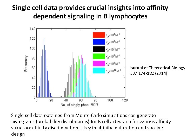 Single cell data provides crucial insights into affinity dependent signaling in B lymphocytes Journal