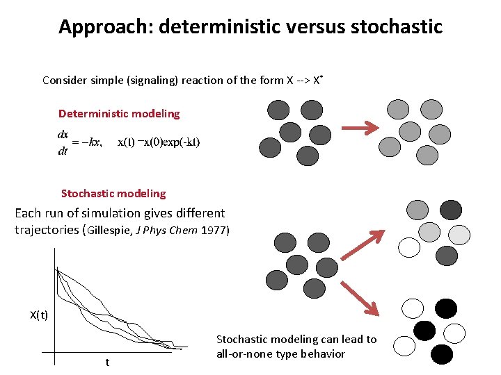 Approach: deterministic versus stochastic Consider simple (signaling) reaction of the form X --> X*