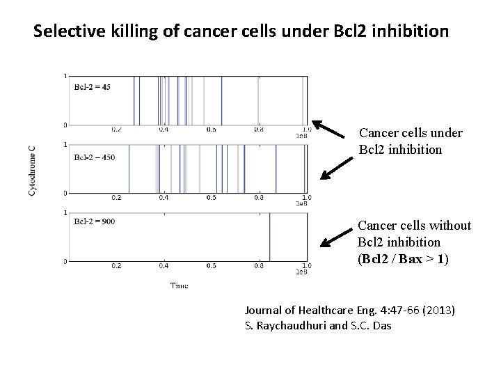 Selective killing of cancer cells under Bcl 2 inhibition Cancer cells without Bcl 2