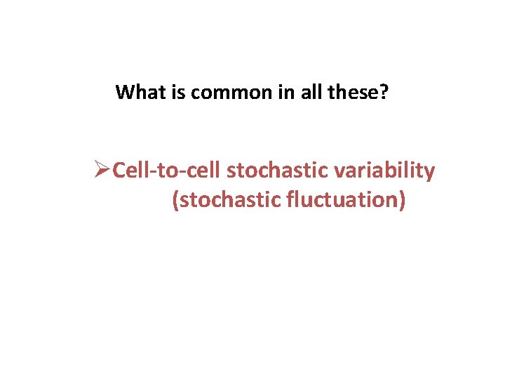 What is common in all these? ØCell-to-cell stochastic variability (stochastic fluctuation) 