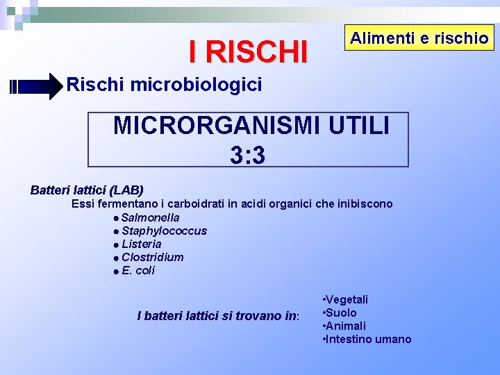I RISCHI Alimenti e rischio Rischi microbiologici MICRORGANISMI UTILI 3: 3 Batteri lattici (LAB)
