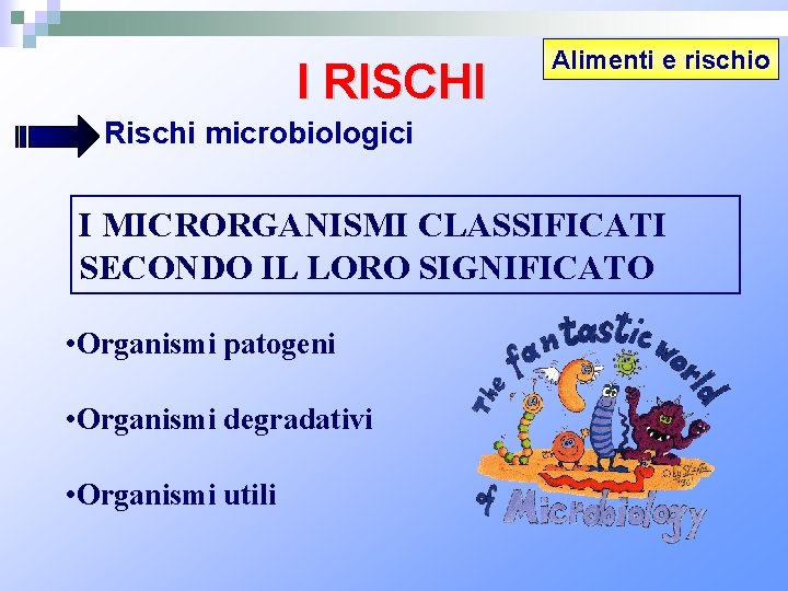 I RISCHI Alimenti e rischio Rischi microbiologici I MICRORGANISMI CLASSIFICATI SECONDO IL LORO SIGNIFICATO