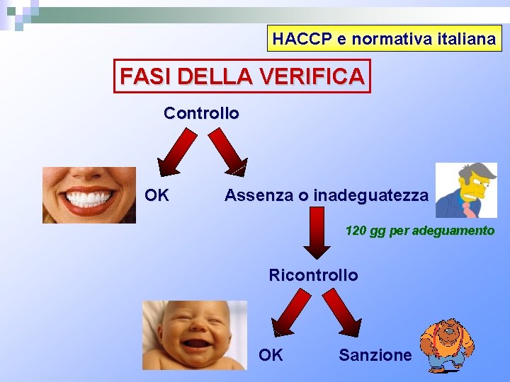HACCP e normativa italiana FASI DELLA VERIFICA Controllo OK Assenza o inadeguatezza 120 gg