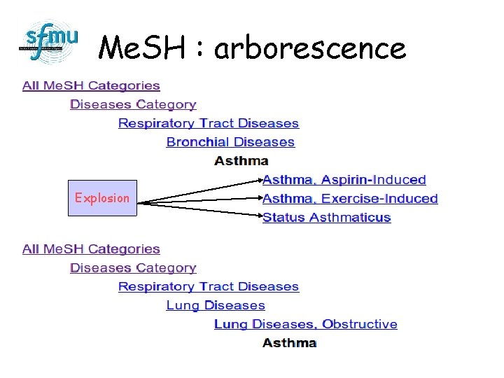 Me. SH : arborescence Explosion 