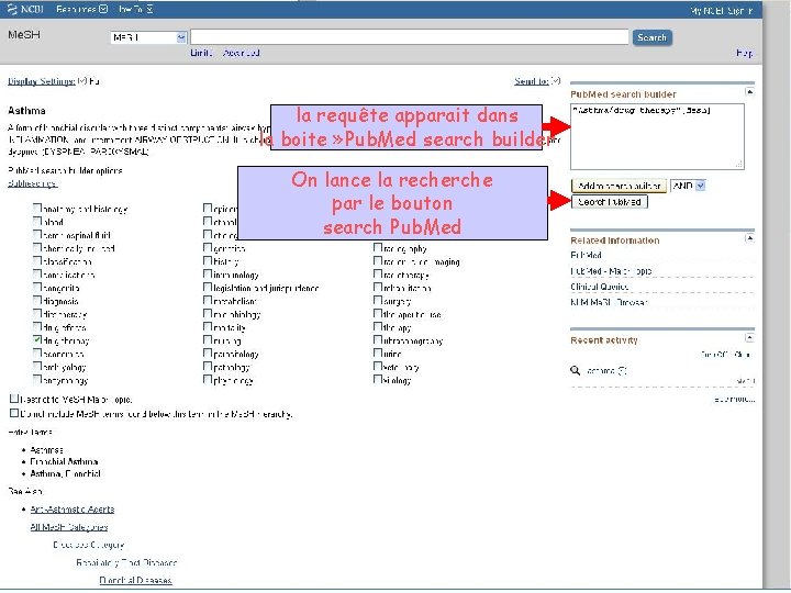 la requête apparait dans la boite » Pub. Med search builder On lance la