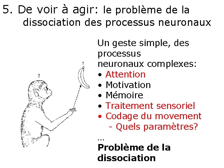 5. De voir à agir: le problème de la dissociation des processus neuronaux Un