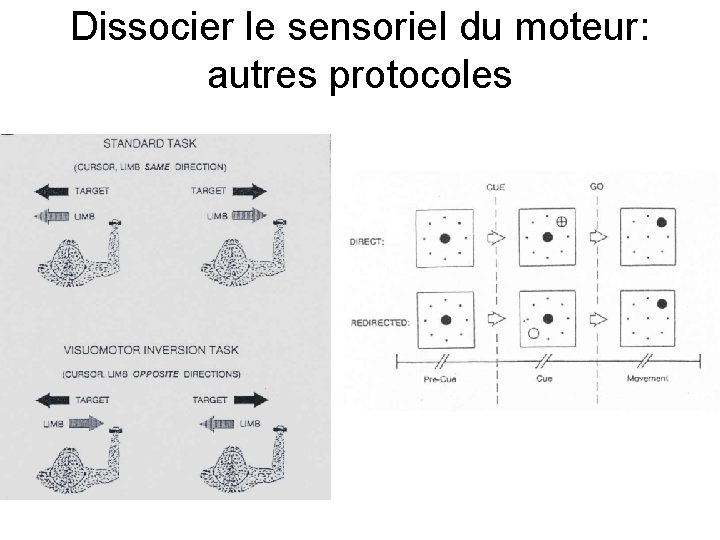 Dissocier le sensoriel du moteur: autres protocoles 