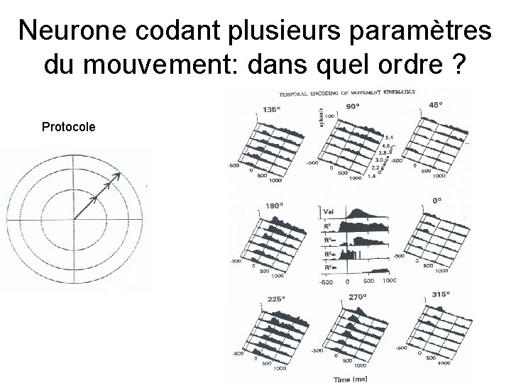 Neurone codant plusieurs paramètres du mouvement: dans quel ordre ? Protocole 