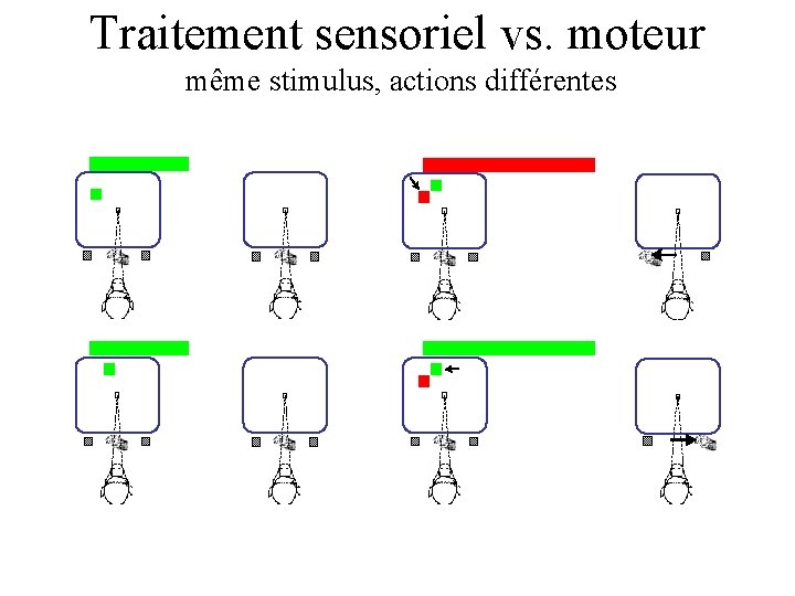 Traitement sensoriel vs. moteur même stimulus, actions différentes 