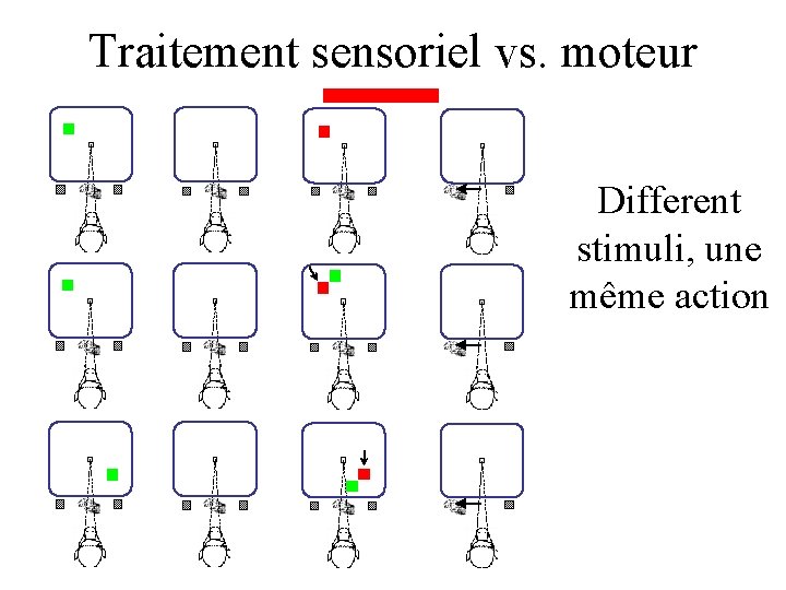 Traitement sensoriel vs. moteur Different stimuli, une même action 