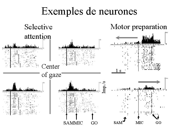 Exemples de neurones Motor preparation Selective attention Center of gaze Imp. /s 1 s