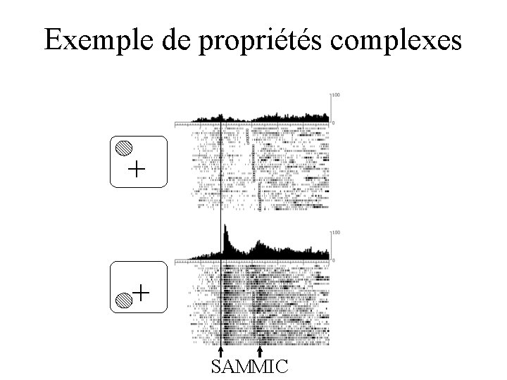 Exemple de propriétés complexes + + SAMMIC 