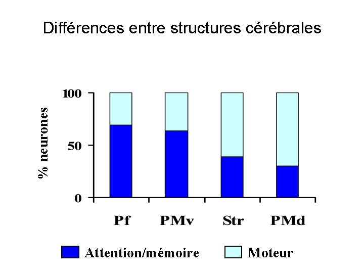% neurones Différences entre structures cérébrales Attention/mémoire Moteur 