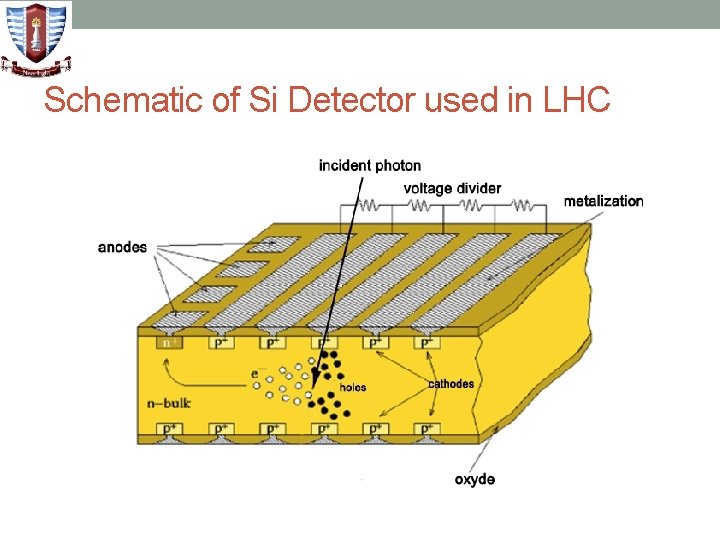 Schematic of Si Detector used in LHC 