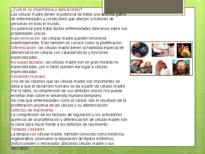 ¿Cuál es su importancia y aplicaciones? Las células madre tienen el potencial de tratar