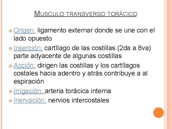 MUSCULO TRANSVERSO TORÁCICO v Origen: ligamento externar donde se une con el lado opuesto