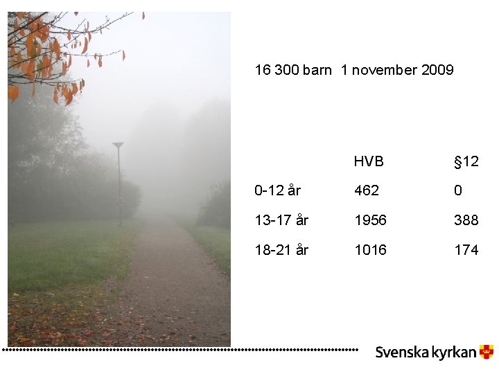16 300 barn 1 november 2009 HVB § 12 0 -12 år 462 0