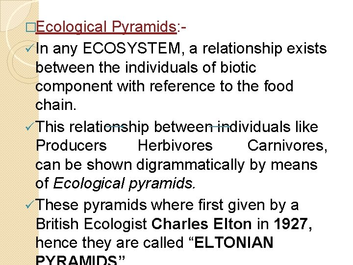 �Ecological Pyramids: ü In any ECOSYSTEM, a relationship exists between the individuals of biotic