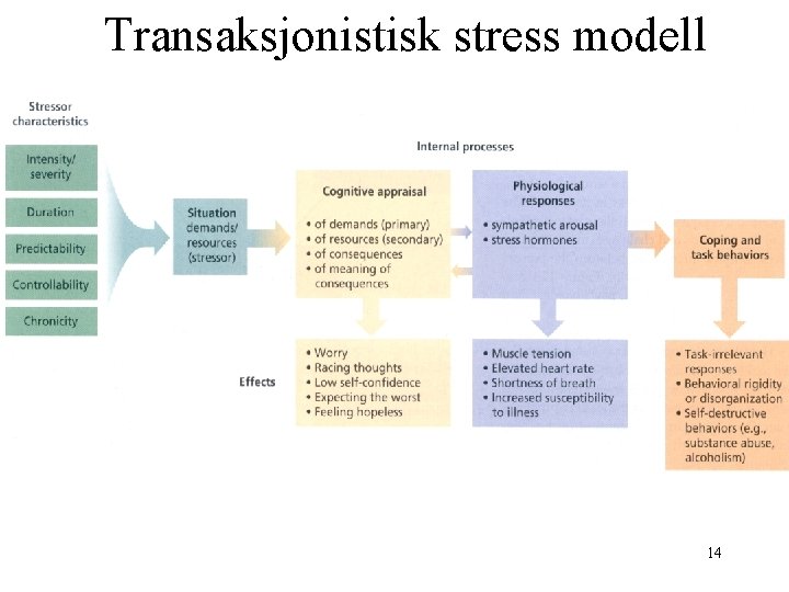 Transaksjonistisk stress modell 14 