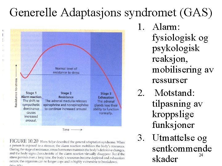 Generelle Adaptasjons syndromet (GAS) 1. Alarm: fysiologisk og psykologisk reaksjon, mobilisering av ressurser 2.
