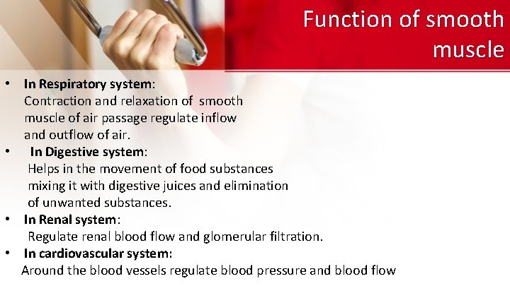 Function of smooth muscle • In Respiratory system: Contraction and relaxation of smooth muscle Function of smooth muscle • In Respiratory system: Contraction and relaxation of smooth muscle