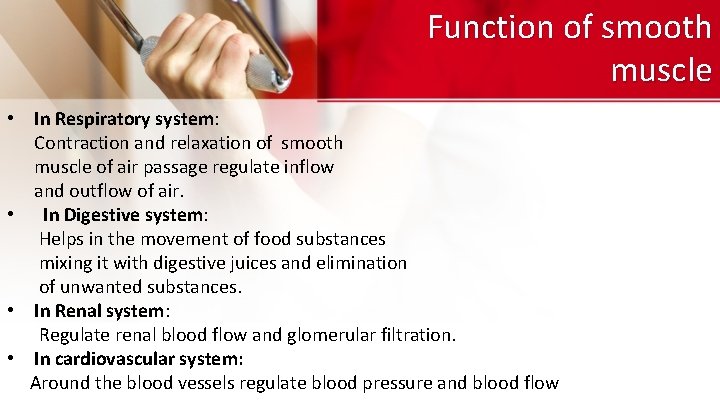 Function of smooth muscle • In Respiratory system: Contraction and relaxation of smooth muscle