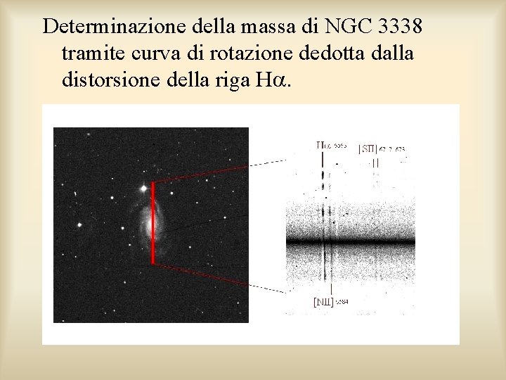 Determinazione della massa di NGC 3338 tramite curva di rotazione dedotta dalla distorsione della