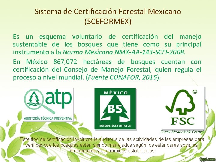 Sistema de Certificación Forestal Mexicano (SCEFORMEX) Es un esquema voluntario de certificación del manejo