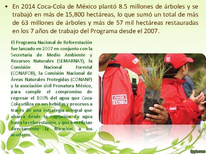  • En 2014 Coca-Cola de México plantó 8. 5 millones de árboles y