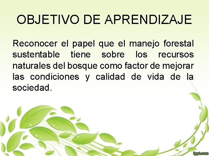 OBJETIVO DE APRENDIZAJE Reconocer el papel que el manejo forestal sustentable tiene sobre los