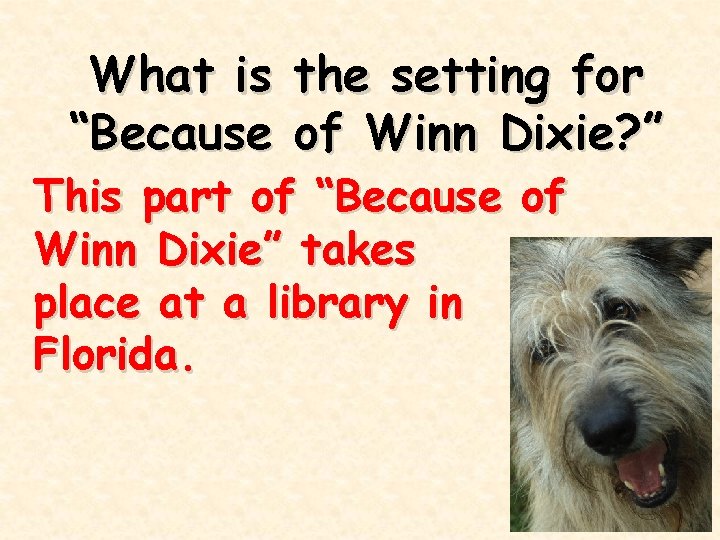 What is the setting for “Because of Winn Dixie? ” This part of “Because