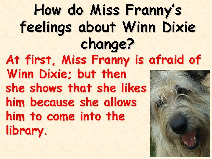 How do Miss Franny’s feelings about Winn Dixie change? At first, Miss Franny is