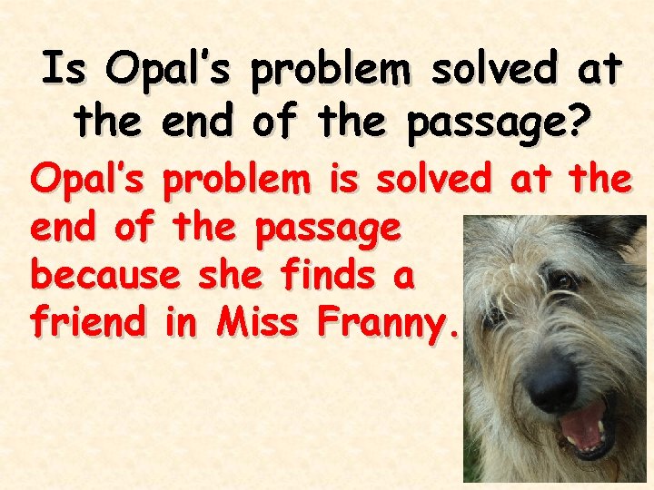 Is Opal’s problem solved at the end of the passage? Opal’s problem is solved