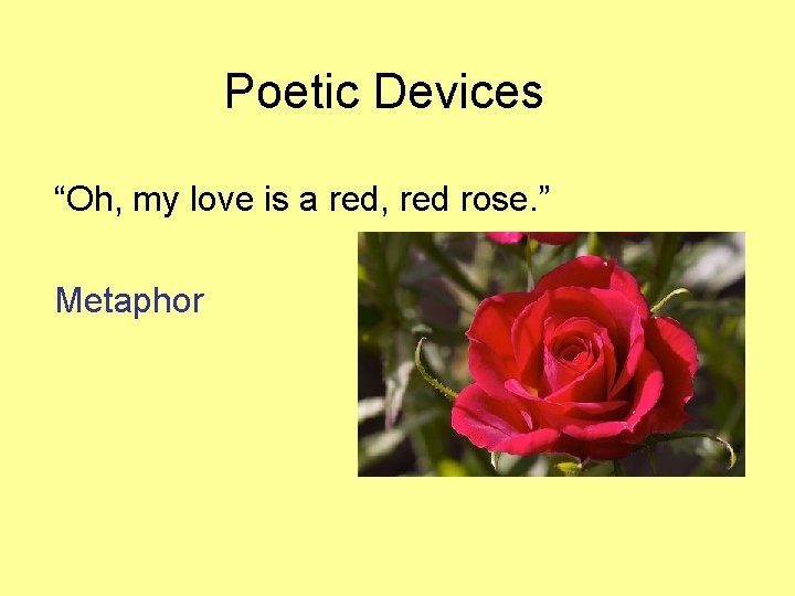 Poetic Devices “Oh, my love is a red, red rose. ” Metaphor 