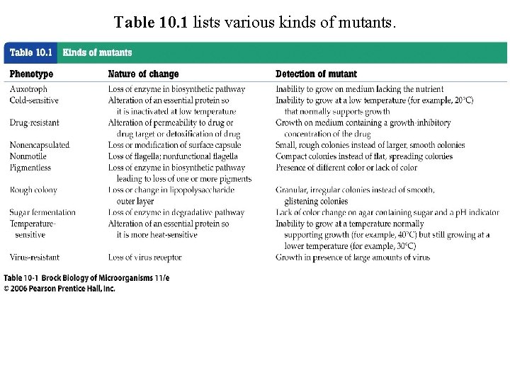 Table 10. 1 lists various kinds of mutants. 