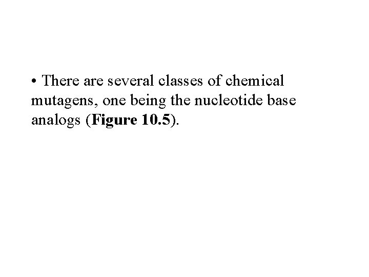  • There are several classes of chemical mutagens, one being the nucleotide base