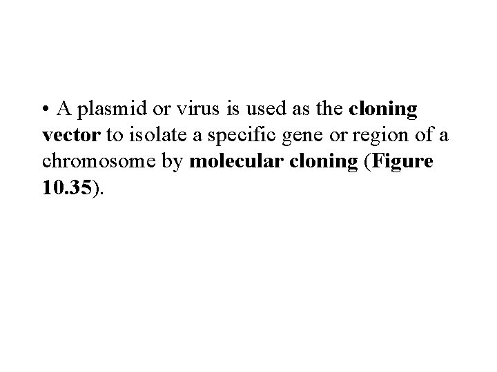  • A plasmid or virus is used as the cloning vector to isolate
