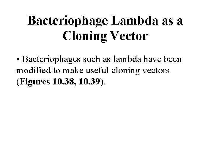 Bacteriophage Lambda as a Cloning Vector • Bacteriophages such as lambda have been modified