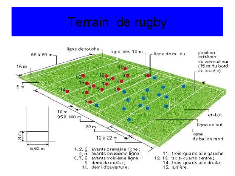 Terrain de rugby 