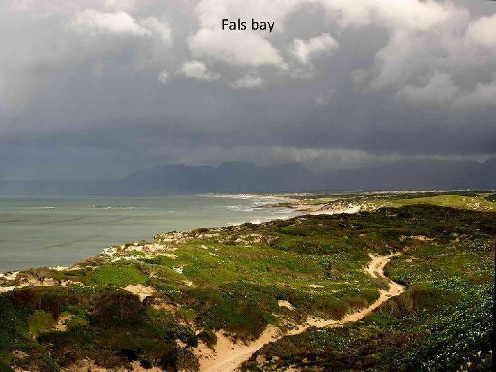 Fals bay 