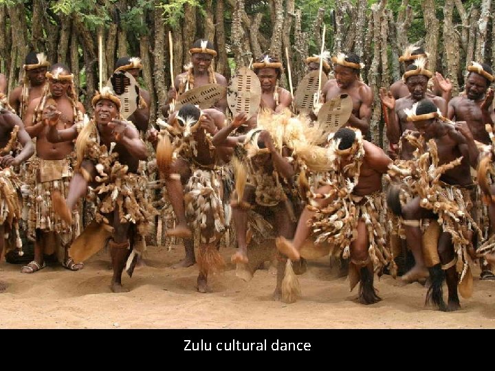 Zulu cultural dance 