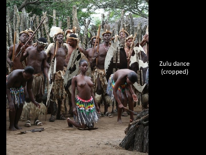 Zulu dance (cropped) 