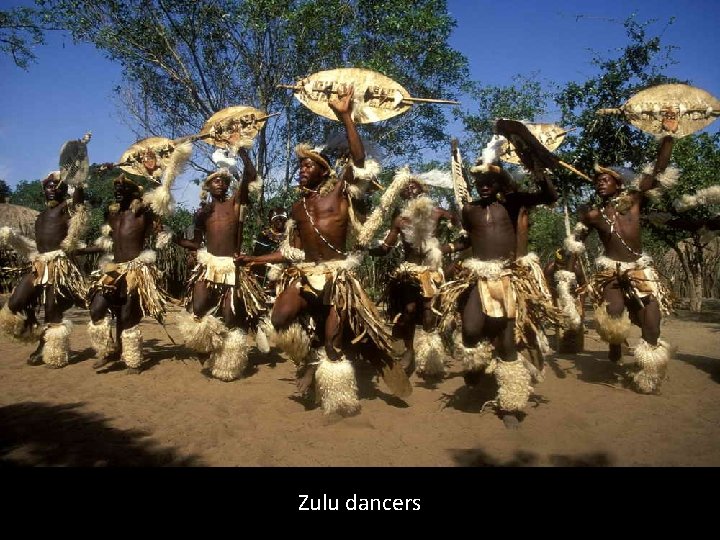 Zulu dancers 