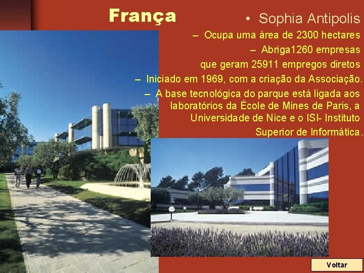 França • Sophia Antipolis – Ocupa uma área de 2300 hectares – Abriga 1260