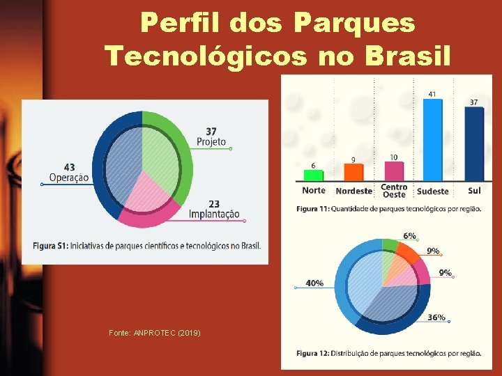 Perfil dos Parques Tecnológicos no Brasil Fonte: ANPROTEC (2019) 