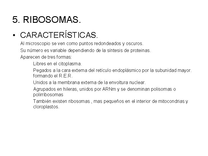 5. RIBOSOMAS. • CARACTERÍSTICAS. Al microscopio se ven como puntos redondeados y oscuros. Su